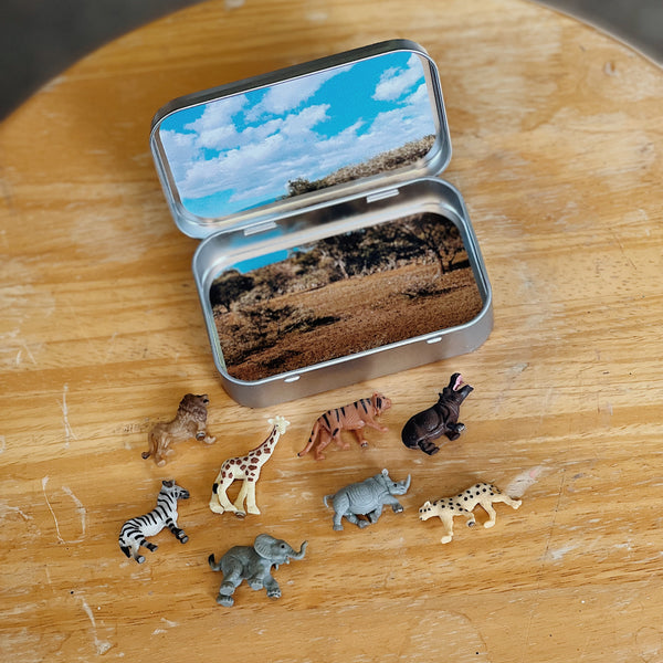 Mini Magnetic Animal Tin