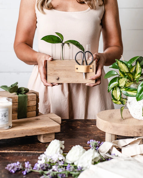 Wood Plant Propagation Stand