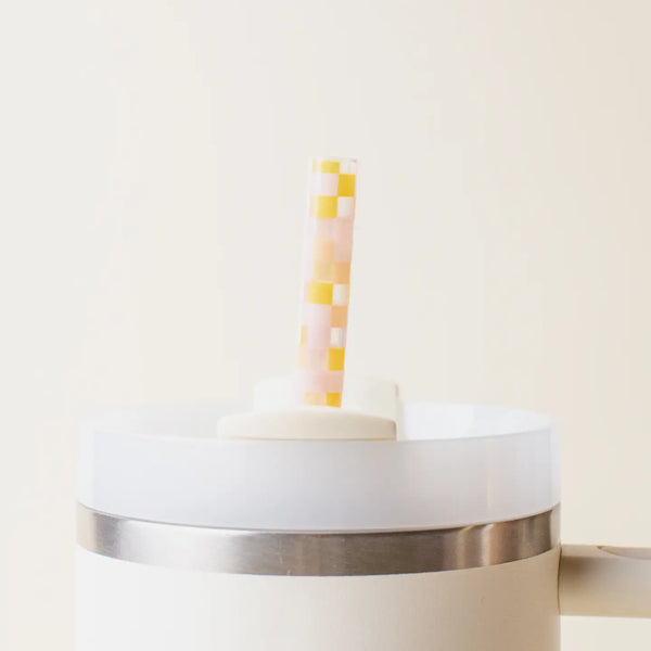 Tumbler Straw Set