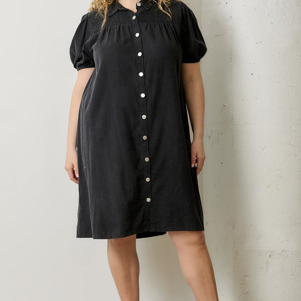 Denim Button-Up Dress