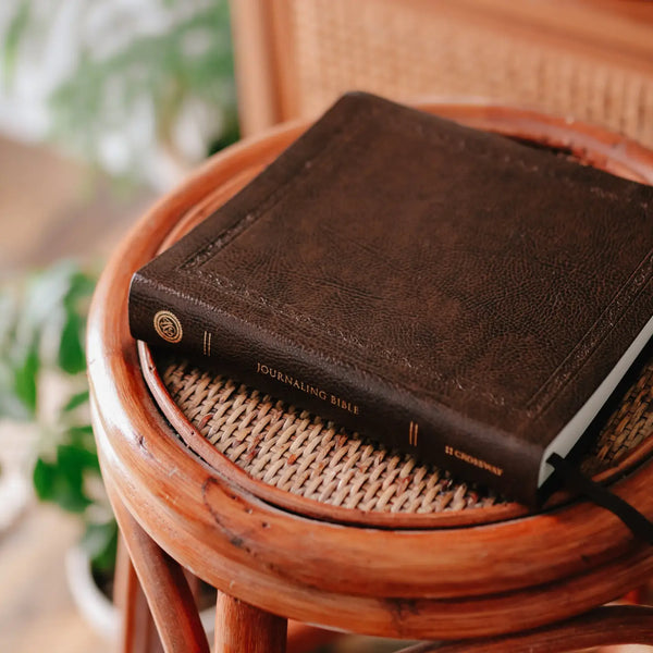 Esv Journaling Bible