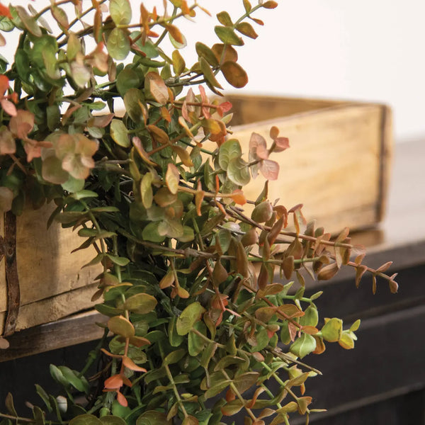 Eucalyptus Wreath