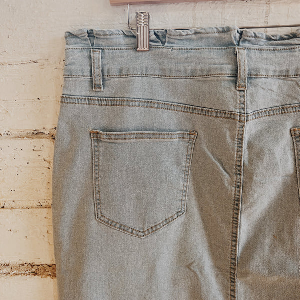 Hailey Denim Skirt | Plus Sizes