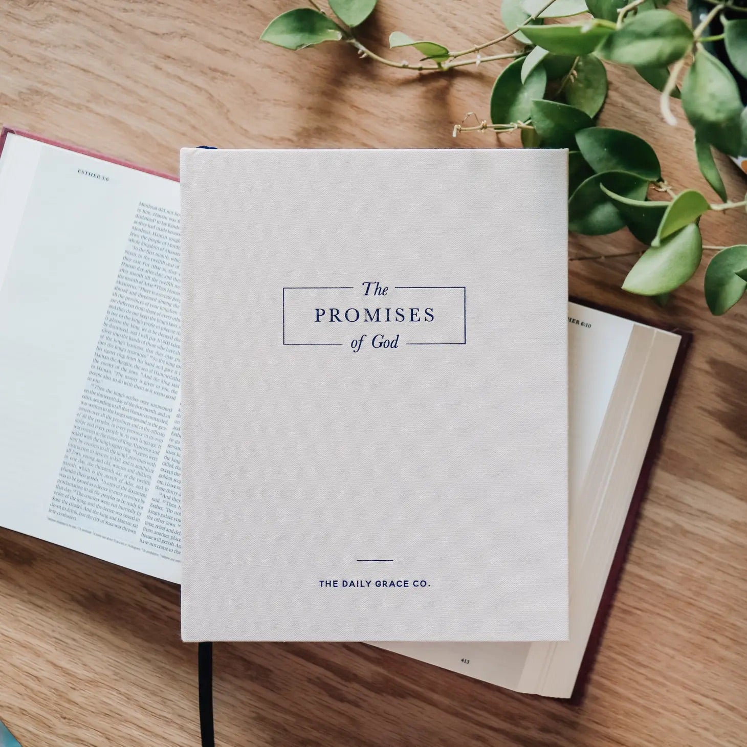 Promises of God | Coffee Table Book