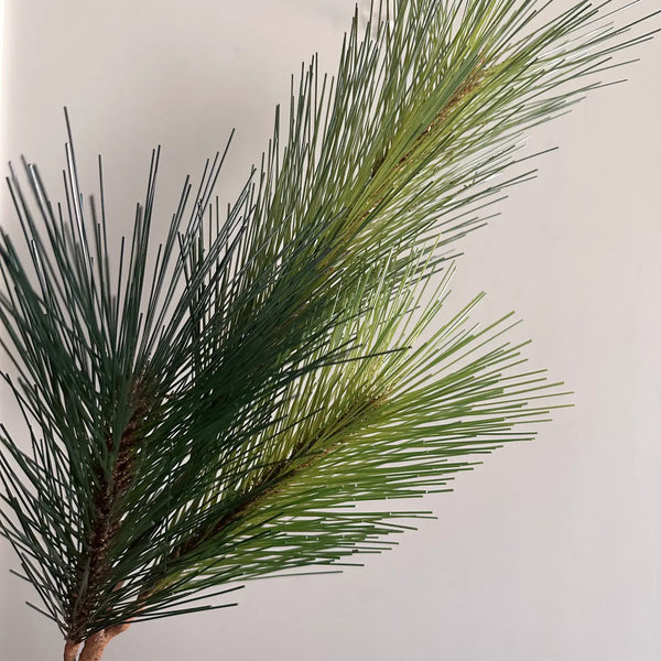 Long Needle Pine Spray