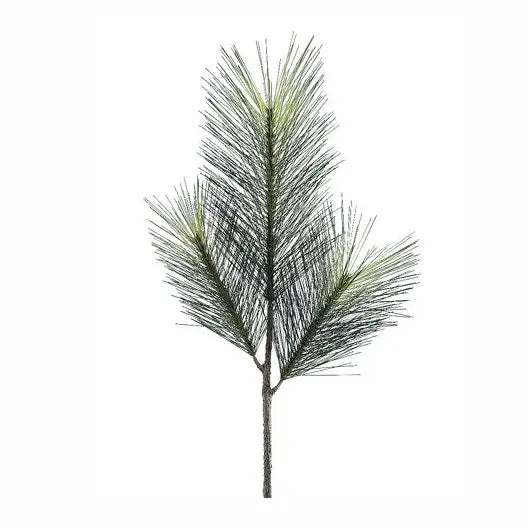 Long Needle Pine Spray