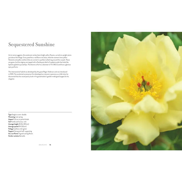 Peonies: Book