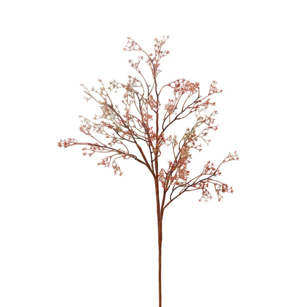Rosa Caspia Stem