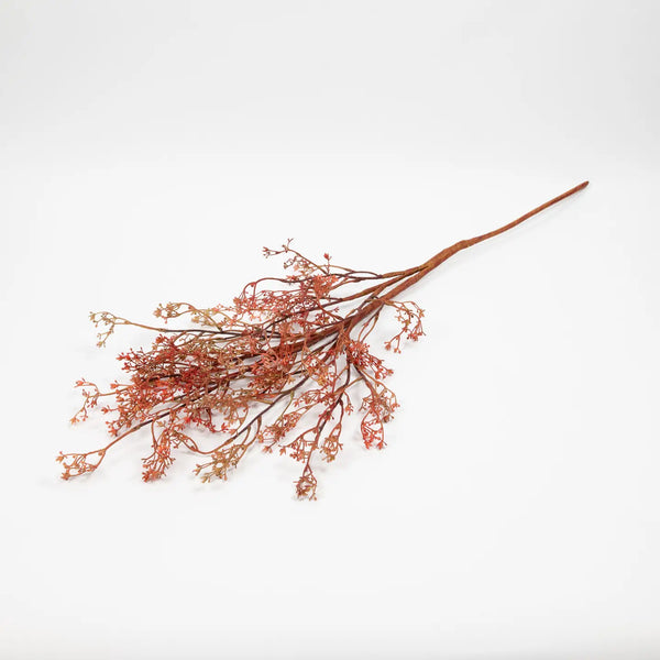 Rosa Caspia Stem