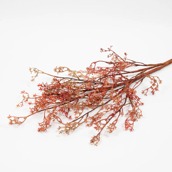 Rosa Caspia Stem