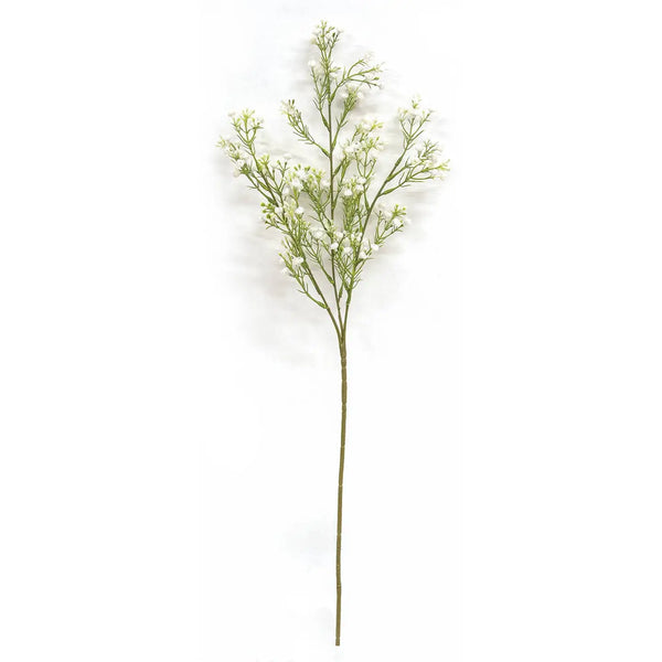 Wispy Baby's Breath