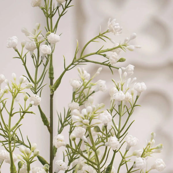 Wispy Baby's Breath