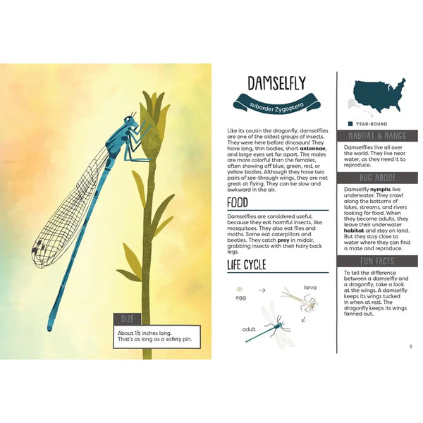 Backyard Bugs: Kids Book