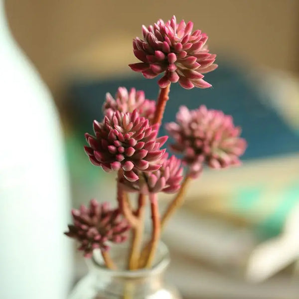 Succulent Stem Set