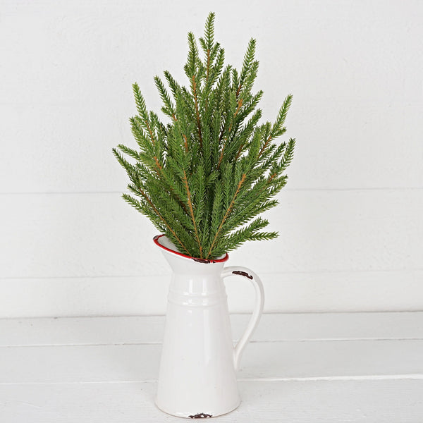 Norfolk Pines