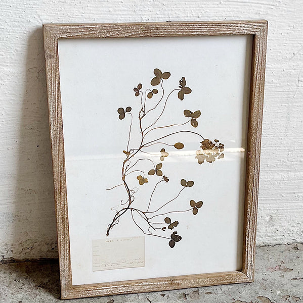 Botanical Framed Wall Decor