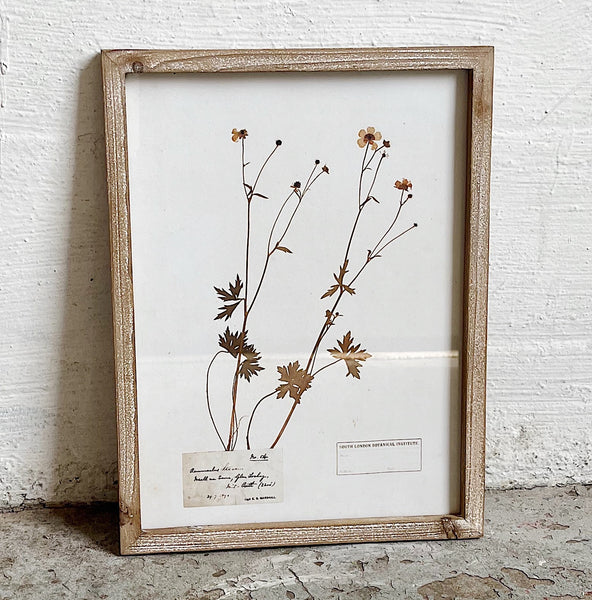 Botanical Framed Wall Decor