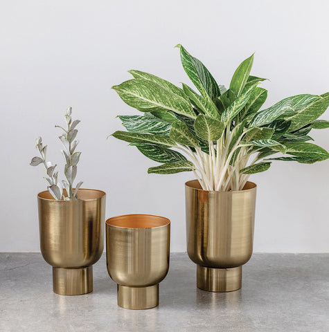Gold Footed Planters