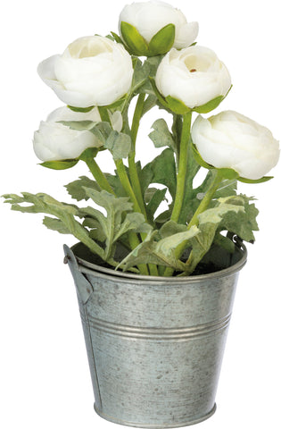 Planter | White Ranunculus
