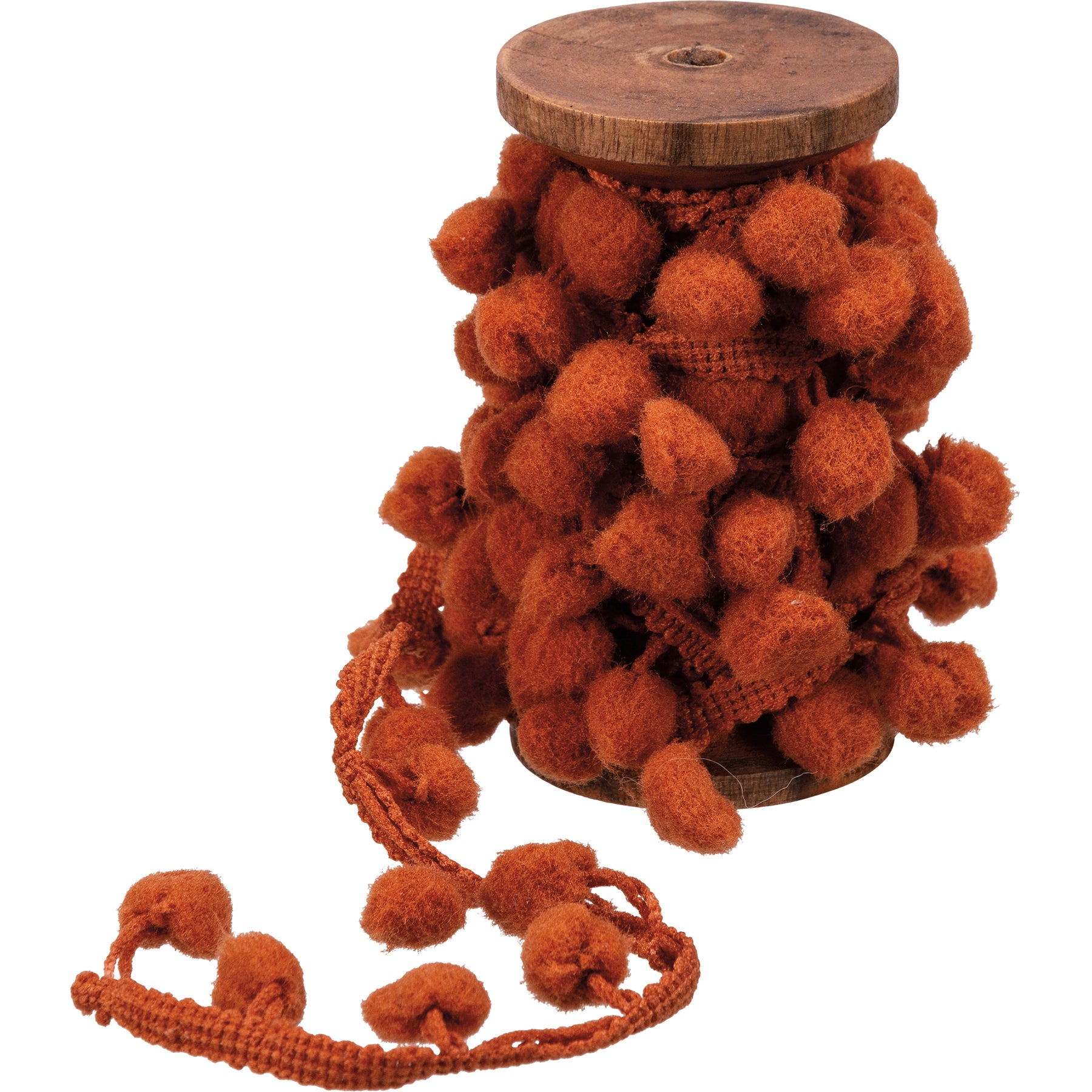 Garland | Poms On Spool