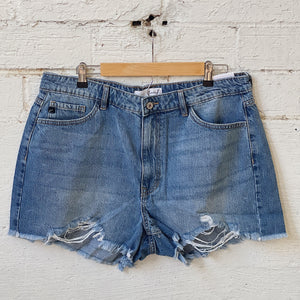 Curvy | Anna Shorts