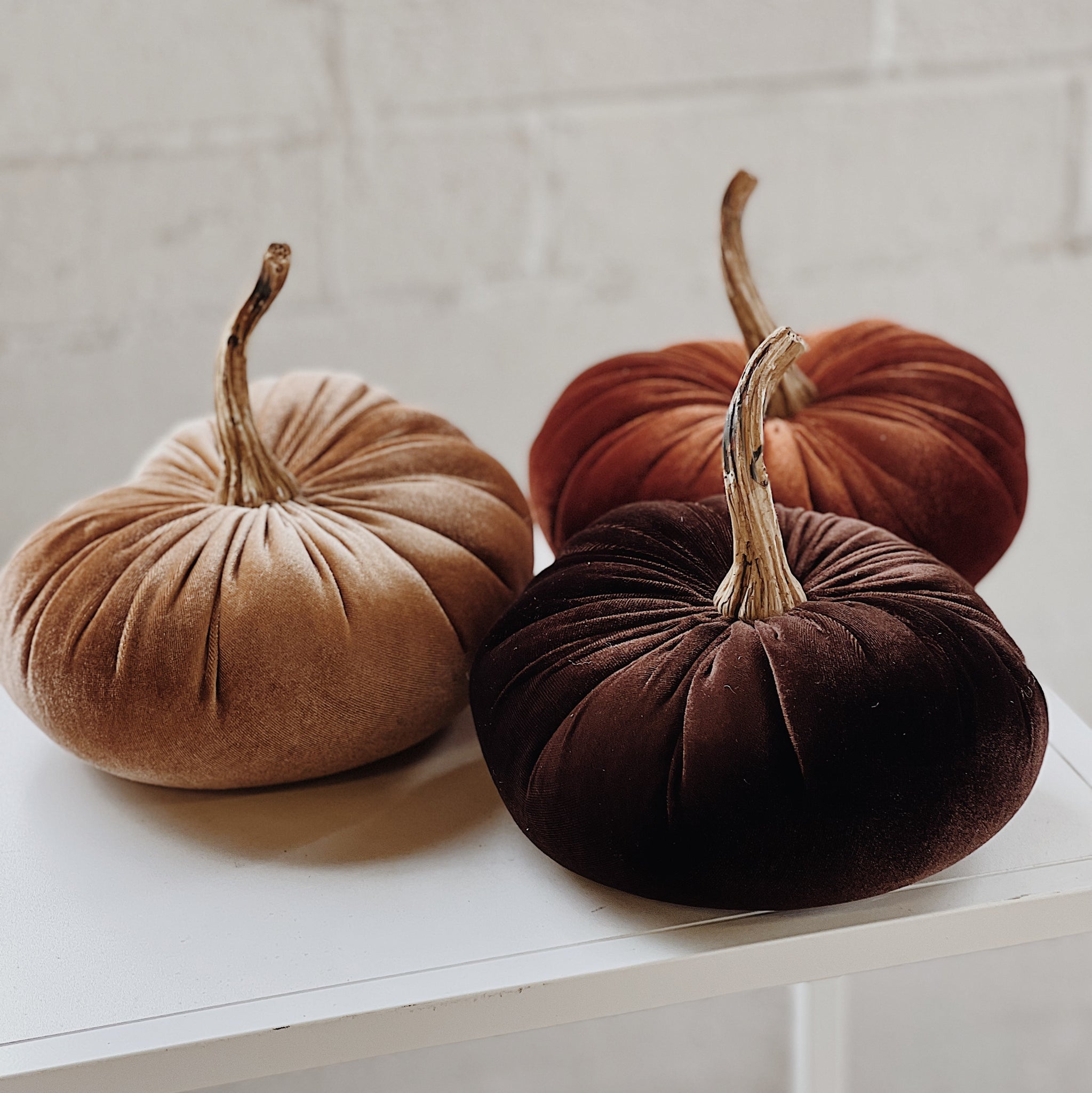 Velvet Pumpkin