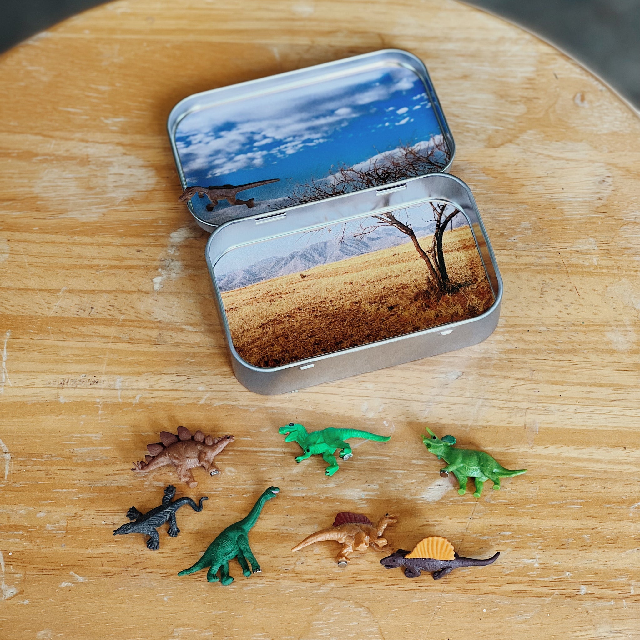 Mini Magnetic Animal Tin