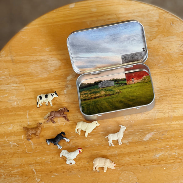 Mini Magnetic Animal Tin