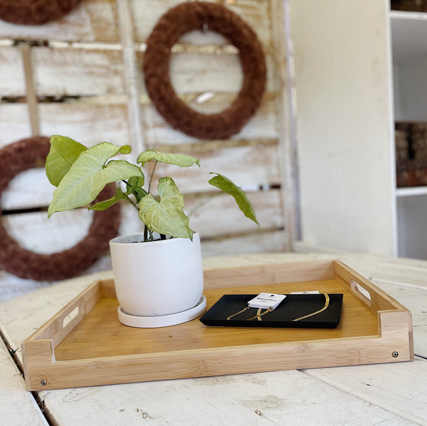 Bamboo Folding Tray